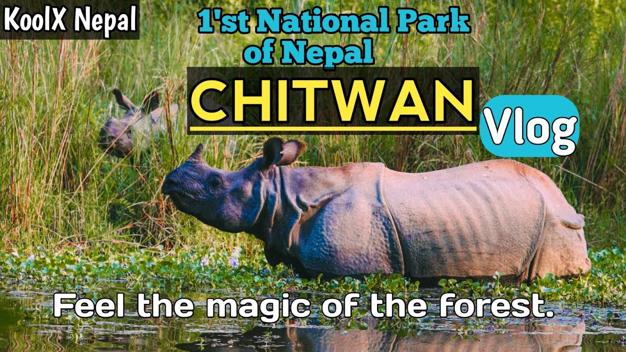 Exploring- Wild life - Sauraha Chitwan - Nepal 1'st National Park