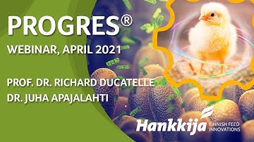 From optimized intestinal functions to excellent performance of poultry