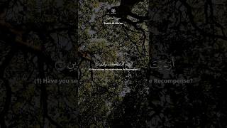 egzonibrahimi egzon mishary misharyrashidalfasy quran shortsfeed shorts