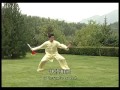 Chen Zhenglei Chen style Tai Chi Single Sabre/Broad Sword