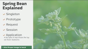 Spring Bean Scopes Explained | Singleton, Prototype, Request, Session, Application |