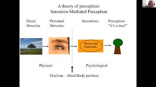 EXP3204 Sensation and Perception Part 3