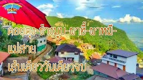 เส้นทางเดียวเที่ยวได้ใน 1 วัน (ดอยตุง ดอยช้างมูบ ผาหมี ผาฮี้ ถ้ำหลวงขุนน้ำนางนอน ด่านแม่สาย)
