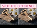[ Brain games ] happy new year start with lucky | Spot the difference | photo puzzles | Healing