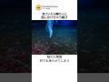 南極の海底。触れた瞬間、全てを凍らせる😱