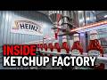Inside Heinz Factory: Tomato Ketchup Production Line & Bottling Process