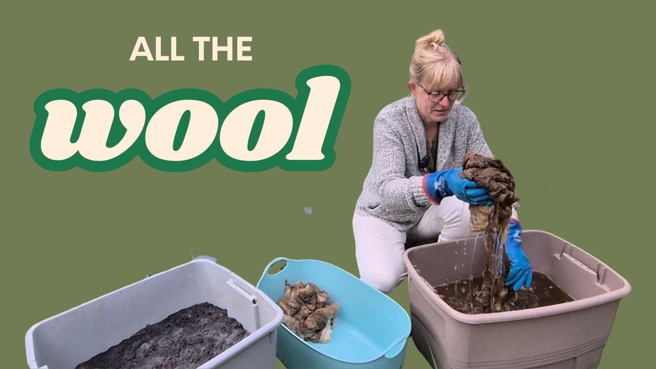 Холодное замачивание шерсти для прядения пряжи