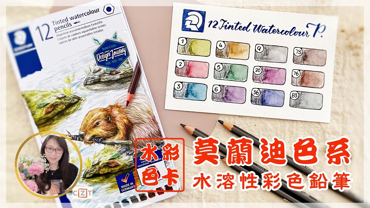 【激推！】Staedtler 施德樓 12 Tinted Watercolour Pencils 莫蘭迪色系 水溶性彩色鉛筆色卡 禪繞畫適用