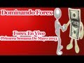 Finanzas Forex, los contratos de vendedores MLM y la mafia serbia