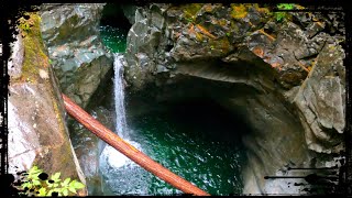 Vancouver Island’s Best-Kept Secret… REVEALED 🇨🇦
