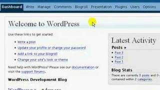 WordPress Basics: Pages and Posts (Pt. I)