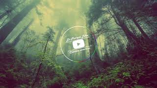 ► Musique libre de droits ♫ Free Music (Neutrin05 - Forest)