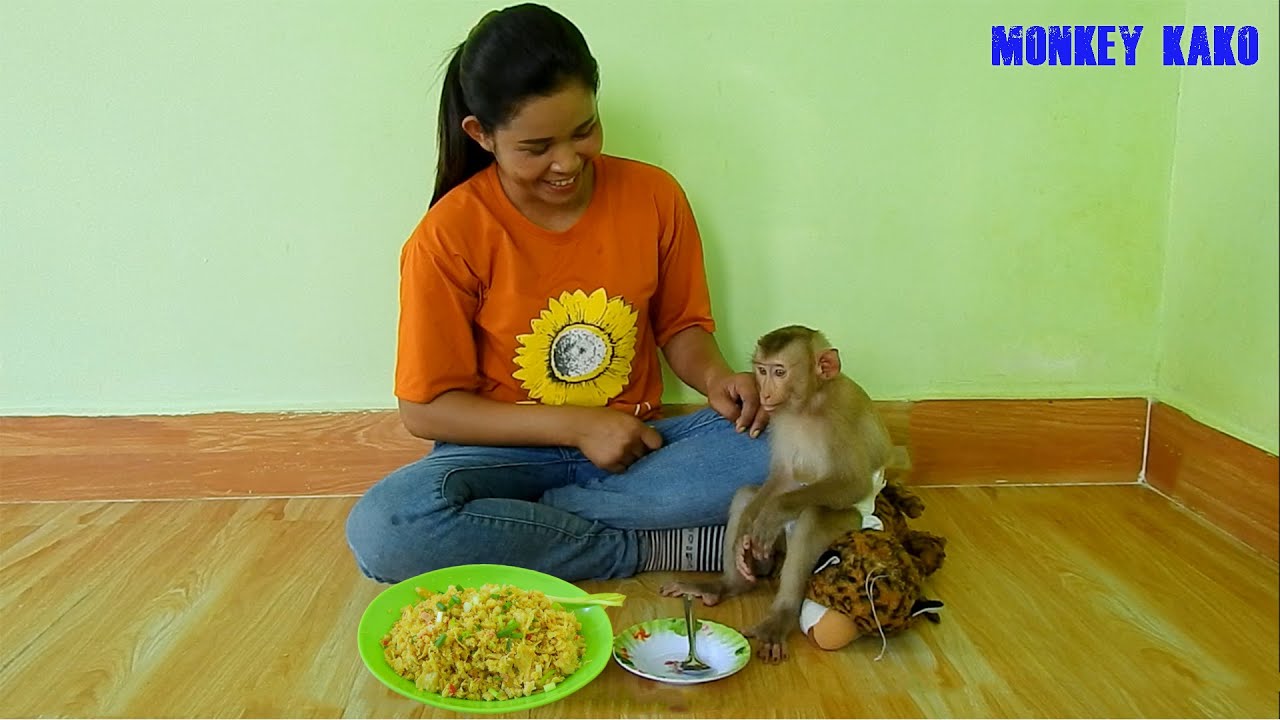Mother Cocking Stir Fried Egg With Bean Bubble For Monkey Kako Eat