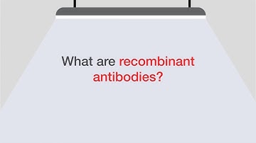 Introduction to Recombinant Antibodies