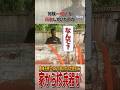 住宅街のガレージから核兵器のガワが見つかった!! #雑学 #解説
