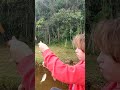 Coloca isca, pega o peixe e ainda tira do anzol #pesca #lambari #natureza #tilapia #animais #nature