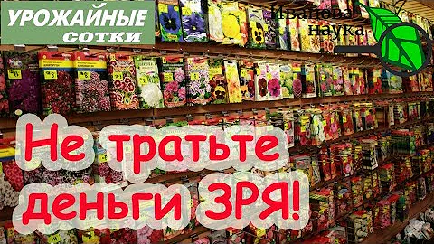 СУЩЕСТВУЕТ ЛИ СРОК ГОДНОСТИ У СЕМЯН? СТОИТ ЛИ, КАК И КАК ДОЛГО МОЖНО ХРАНИТЬ СЕМЕНА?