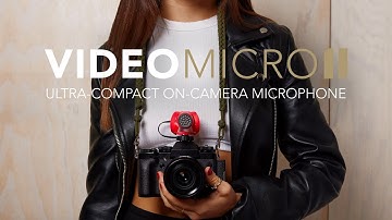 Features and Specifications of the VideoMicro II