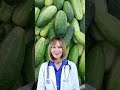 Pepino: o remédio natural que emagrece, limpa e rejuvenesce! #shorts