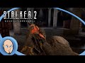 Stalker 2 EP 97 Der Neue König Der Arena Let S Play Deutsch