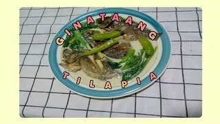 How To Cook Ginataang Tilapia - Ronalyns Kitchen