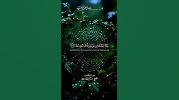 سورة الشعراء الشيخ ياسر الدوسري #اكتب_شي_تؤجر_عليه