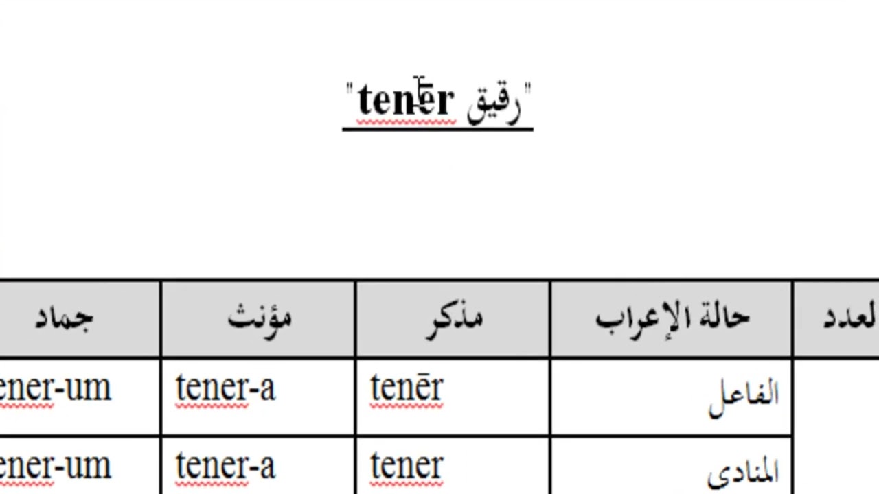 سلسلة تعلم اللغة اللاتينية المحاضرة السابعة إعراب صفات المجموعة الأولى في اللاتينية المستوى الأول