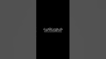 أينما تكونوا يدرككم الموت | شاشة سوداء | ياسر الدوسري | سورة النساء