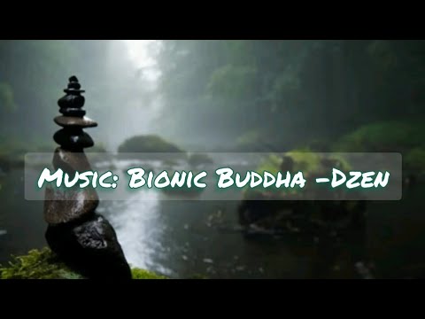 Видео: Музыка: Bionic Buddha- Dzen