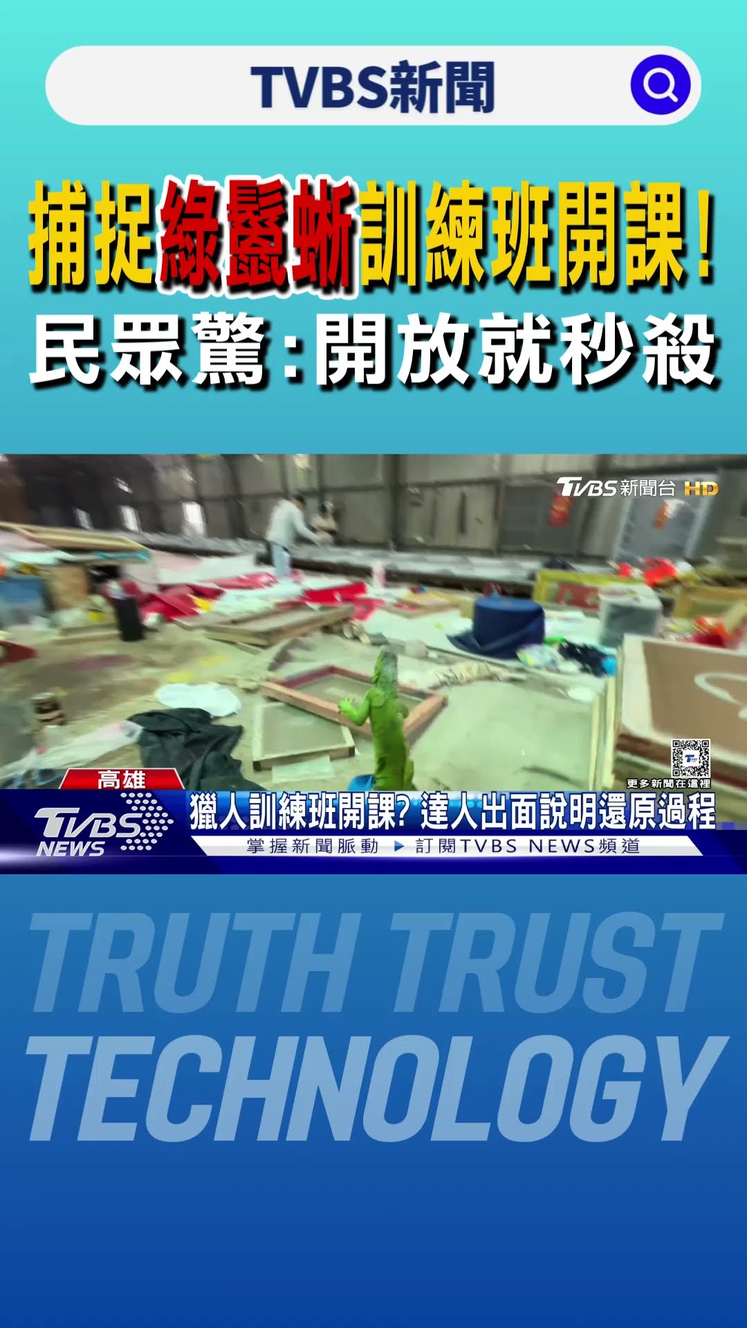 誇張! 高雄捕捉綠鬣蜥訓練班開課! 民眾驚:開放就秒殺｜TVBS新聞 @TVBSNEWS01