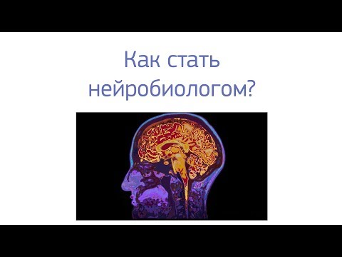 Как стать нейробиологом
