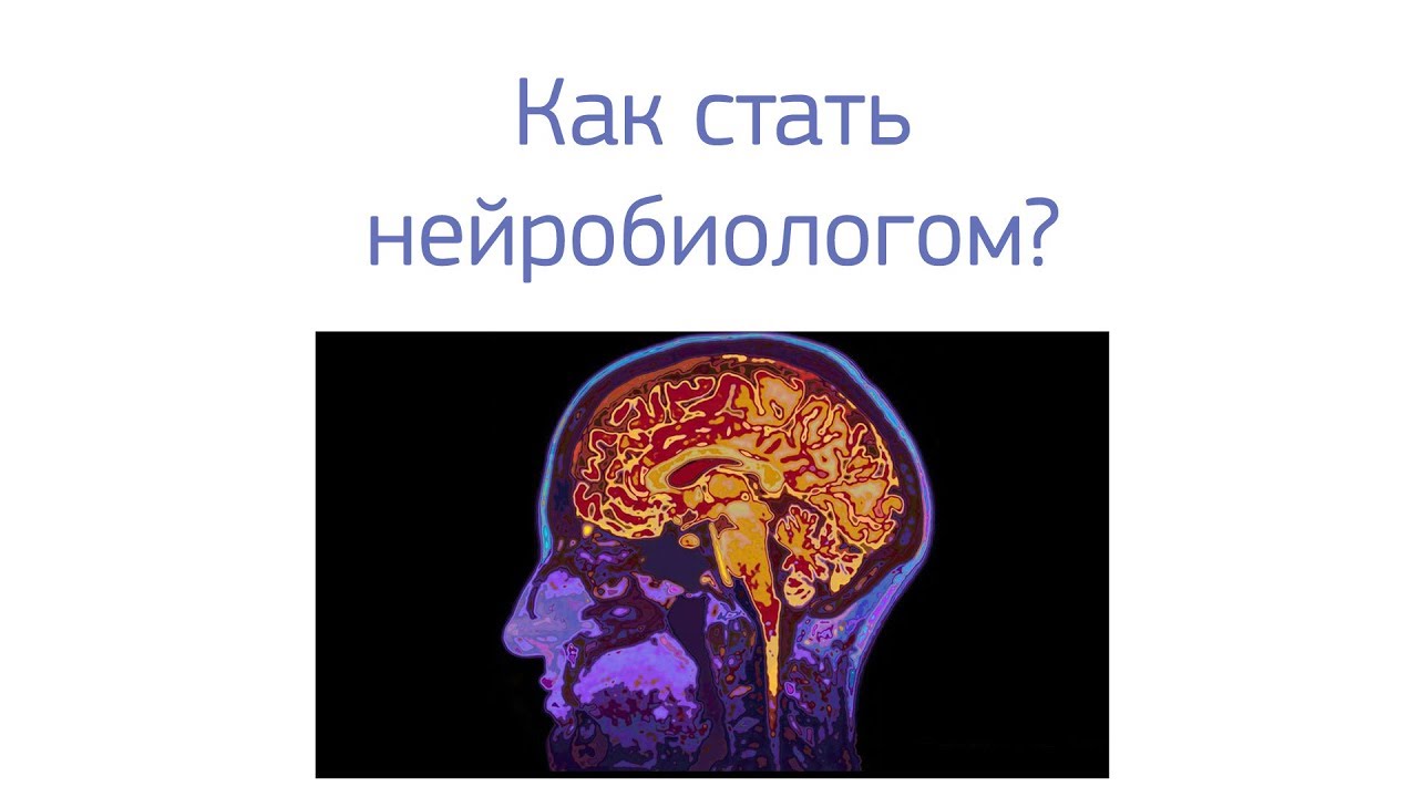 Нейробиолог где учиться. Американский нейробиолог. Нейробиология серый. Doctor brain. Профессия нейробиолог.