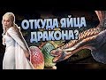 Как Размножаются Драконы? Игра Престолов Теория🐲