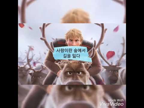 사랑이란 숲에서 길을 잃다