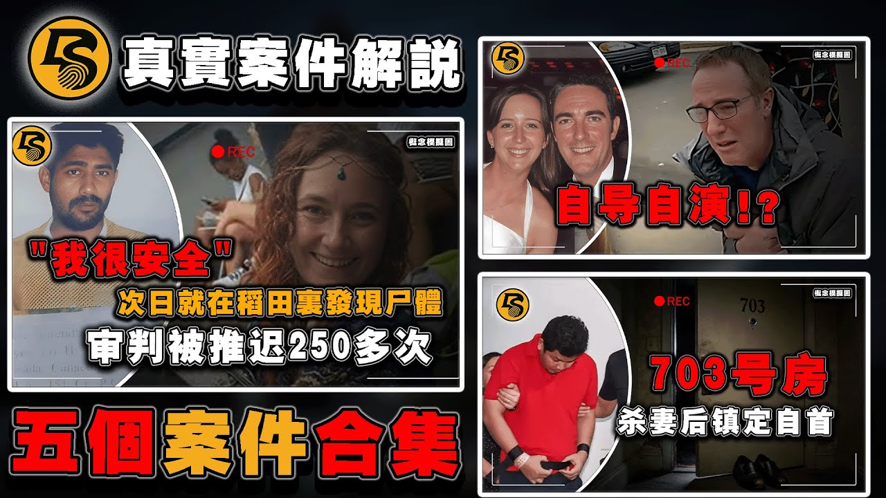 汏叔案件合集丨真實案件丨駭人案件丨真實犯罪丨長視頻丨合集丨案件故事丨