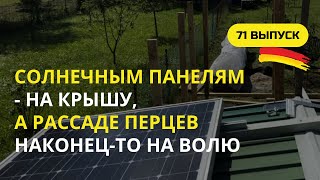 Дача в Германии. 71 выпуск. Солнечные панели подключены! Рассада перцев переселилась в грядки.