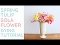 How to dye tulips - Sola wood flower tutorial