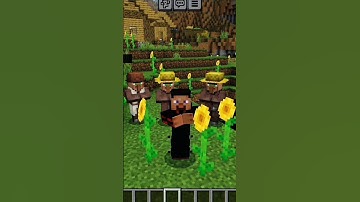 Troll 🤣 The Vindicator in Minecraft #shorts #minecraft#shortsvideo#shortsfeed#gaming