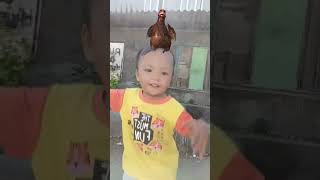 Kemal Joget Ayam Pargoy🤩#shorts