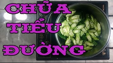 Bài thuốc hay chữa bệnh tiểu đường, ổn định đường huyết bằng lá ổi [cách chữa bệnh tiểu đường]
