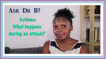 What happens during an asthma attack
