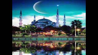 Mehmet Emin Ay - Sordum Sarı Çiçeğe