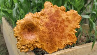 Melted Burl Platter