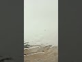 امطار العطيف ٢٤ ابريل ٢٠٢٦