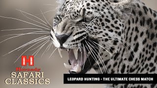 🔥🦁Leopard Hunting - The Ultimate Chess Match🔥🦁