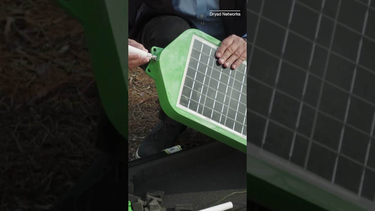 Using Solar-Powered AI Sensors to Detect Forest Fires #shorts