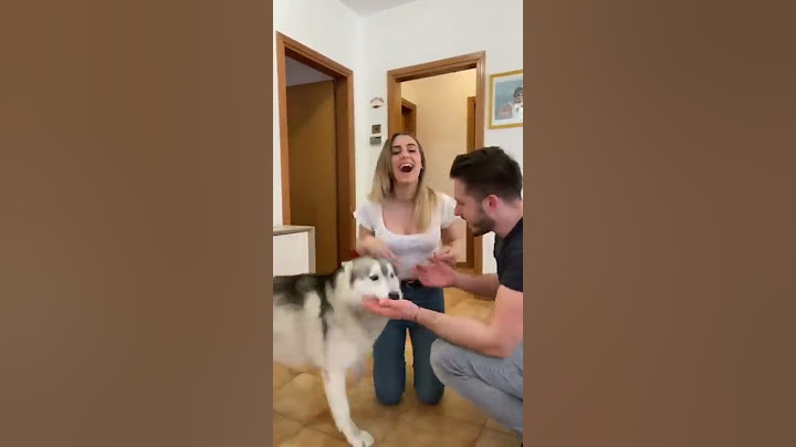Chi è il PADRONCINO PREFERITO del mio CANE?🤔🐶*metodo per scoprirlo*🤭 #cane #dog #puppy #pet