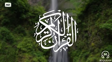 قرآن كريم بصوت خالد الجليل | حالات واتس اب دينية - سورة الحجر