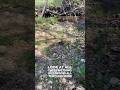 Kentucky Geode Hunting