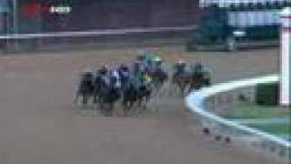 2006 Breeders' Cup Classic